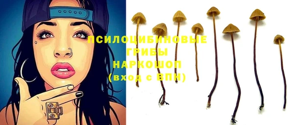 ECSTASY Алексин