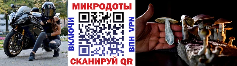 Галлюциногенные грибы MAGIC MUSHROOMS где можно купить наркотик Разумное